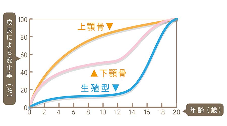 矢口渡・池上・武蔵新田、のびのび歯科・矯正歯科で6歳～9歳の矯正歯科についての解説